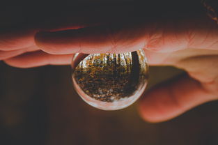 (如何优雅的和别人说再见)掌握优雅告别的艺术：如何在各种场合中得体地与他人说再见