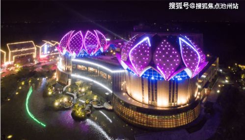 格斗英雄2最新版-格斗英雄2下载安卓v.3.72