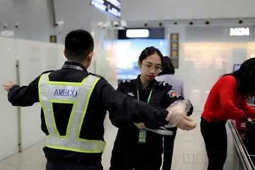 机场安检员中文版2下载-机场安检员中文版2024官方手机版下载v.2.84 机场安检员中文版2下载-机场安检员中文版2024官方手机版下载v.2.84