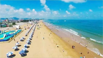 赶山赶海开饭店免广告钞票版下载-赶山赶海开饭店免广告中文内置作弊菜单下载v.3.44