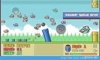 我的鸟制造1.45版本官方版下载-我的鸟制造1.45版本安卓版v.8.45 我的鸟制造1.45版本官方版下载-我的鸟制造1.45版本安卓版v.8.45