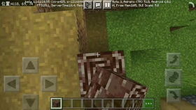 minecraft国际版基岩版无广告版2024下载-minecraft国际版基岩版手游下载最新版v.2.15