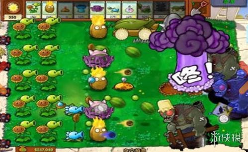 植物大战杂交版不减反增版下载-植物大战杂交版安卓下载v.6.96