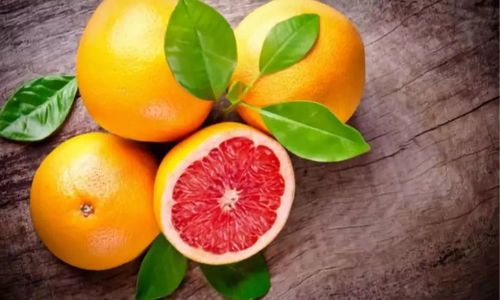 多汁水果合并手机版最新官方版下载-多汁水果合并手机版无限元宝免广告下载v.8.32