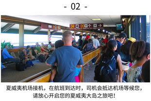 机场安检员游戏中文版官方下载-机场安检员游戏中文版手机中文正版下载v.8.99