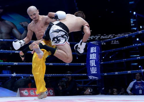 202开播的武林风2024免费播放大事件--夺冠传奇再度呈现 202开播的武林风2024免费播放大事件--夺冠传奇再度呈现