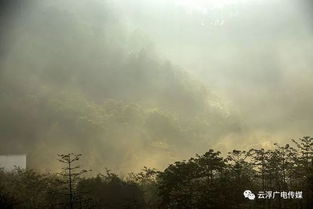 探寻墨心儿:诗意人生中的深情思考与自我成长之旅 探寻墨心儿:诗意人生中的深情思考与自我成长之旅