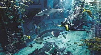 探秘深海秘境,海底大猎杀steam带你体验刺激冒险! 探秘深海秘境,海底大猎杀steam带你体验刺激冒险!