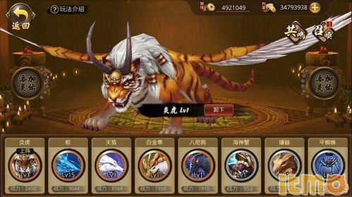 战国布武停服了吗?玩家们在关服风波中寻求官方答复 战国布武停服了吗?玩家们在关服风波中寻求官方答复