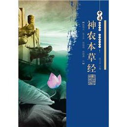 神农诀传承之妖孽小神农:神秘传统医学技艺的新一代传人 神农诀传承之妖孽小神农:神秘传统医学技艺的新一代传人