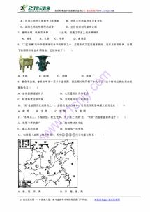 揭秘代号起源：从历史深处探寻神秘符号的诞生与演变