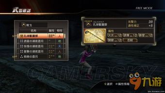 掌握真三国无双4全武器入手秘籍，攻略完整解析：步步为营征战三国，武器全数掌握无问题