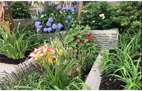 华夏人生怎么玩：探索传统文化，融合现代理念，点亮生活新乐章