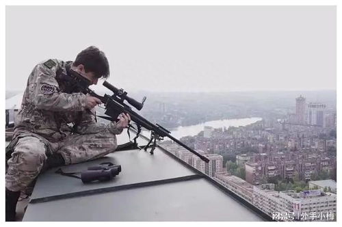 高清版狙击手在线观看免费-影片完整高清画质在线观看