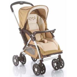 探讨一番:哪款小推车是最方便实用的选择? 探讨一番:哪款小推车是最方便实用的选择?