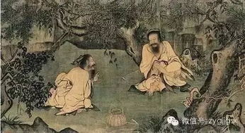 深度解析中国古代典故：古人所说的"老虎下山"是在午时，这也是老虎活动的最佳时刻