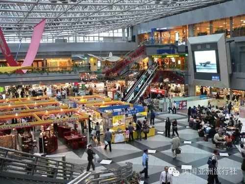 开彩票店最建议去的三个地方:人流密集商业街、购物中心、游乐场。 开彩票店最建议去的三个地方:人流密集商业街、购物中心、游乐场。