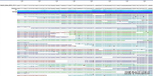 24-16-38-05-41-01 T:11:新奥今晚开一肖预测视频2O2511,1O号九与澳门大三巴一肖一特一中考试内容-营销释义、专家解读解释与落实,规避不实诱导迷宫 24-16-38-05-41-01 T:11:新奥今晚开一肖预测视频2O2511,1O号九与澳门大三巴一肖一特一中考试内容-营销释义、专家解读解释与落实,规避不实诱导迷宫