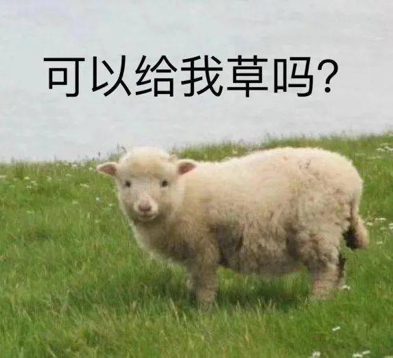 2026年天天免费资料下载跟正版资料免费的大全：羊、虎、鸡、猪和抵制虚假性标榜-趣味释义、解释与落实
