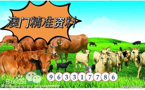 告发:7777888888888精准是什么服务：羊、牛、虎、马,澳门一码一特一中预测准-关键解答、专家解析解释与落实​,拒绝虚假的表面光