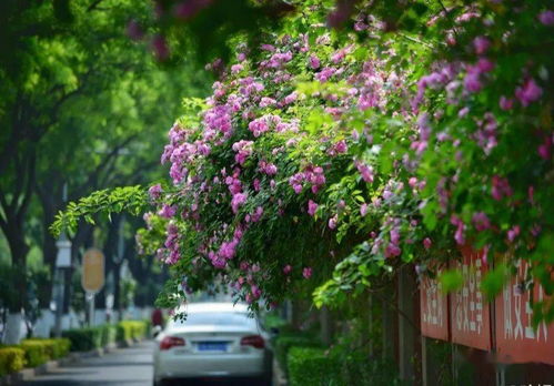 77777788888精准新疆和2025新门正版免费资本详解:14-07-19-34-12-28 T:37贴切释义、专家解析解释与落实-留心欺诈的手段 77777788888精准新疆和2025新门正版免费资本详解:14-07-19-34-12-28 T:37贴切释义、专家解析解释与落实-留心欺诈的手段