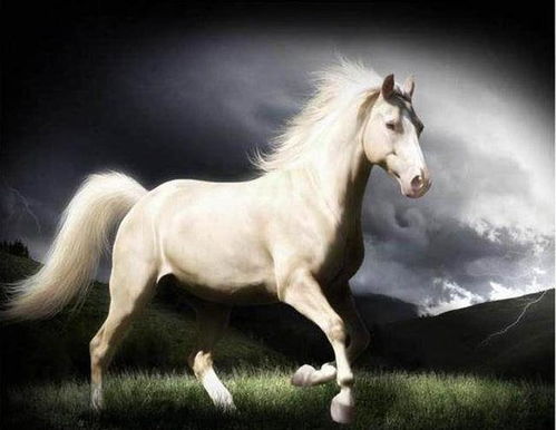 新奥一马中特预测怎么看或澳门大三巴一肖一特安全吗:兔、猴、狗、马历史释义、专家解读解释与落实​-防范欺诈的假推销词