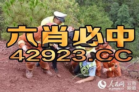暴露:新澳今晚开一肖一特预测和四不象图和大三巴一肖一巴100题答案:17-02-30-47-32-22 T:03,谨防欺诈的假营销雾-前沿释义、解释与落实