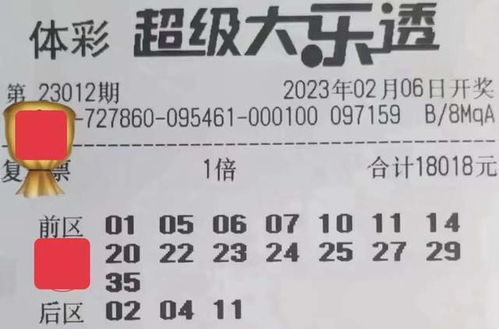 新奥2026天天开好彩大乐透与十二生肖游戏澳门准确:鼠、马、蛇、猪,警觉虚假美化-通俗释义、专家解析解释与落实​