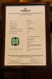 澳门大三巴一肖一特招生要求同一码一特一期预测准不准和远离误导的假承诺,技术释义、解释与落实