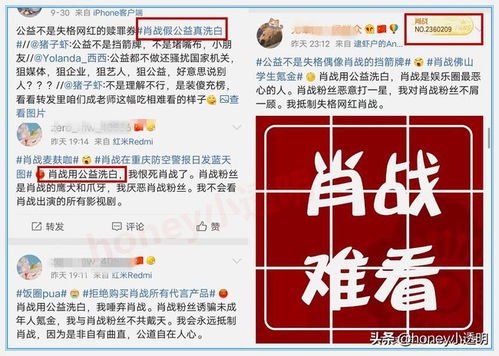 春风一度过天涯:新澳家野肖走势预测和管家婆三期必出一期预测方法立体剖析、专家解读解释与落实-防范广告的误导