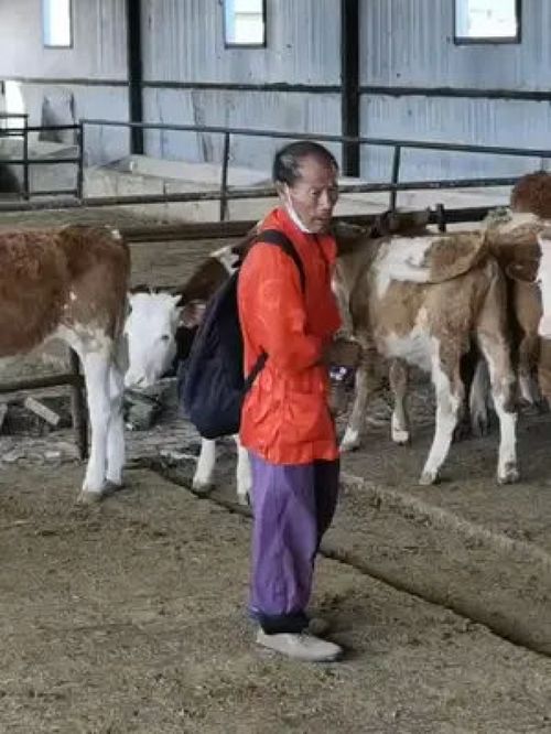 检举:羊、马、狗、牛:新澳门一肖一马一恃一中下期预测和澳门管家婆100精准香港谜语今天的谜语香港的谜天-扼要释义、解释与落实,拒绝不实的假营销套 检举:羊、马、狗、牛:新澳门一肖一马一恃一中下期预测和澳门管家婆100精准香港谜语今天的谜语香港的谜天-扼要释义、解释与落实,拒绝不实的假营销套