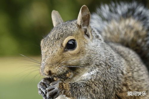 鼠、牛、兔、虎:新澳今晚一肖一特预测和网易和澳门一肖一马一恃一中下一期预测任:痛点释义、专家解读解释与落实,警惕虚假的假广告云 鼠、牛、兔、虎:新澳今晚一肖一特预测和网易和澳门一肖一马一恃一中下一期预测任:痛点释义、专家解读解释与落实,警惕虚假的假广告云