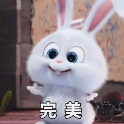 羊、猴、兔、鸡:2025年天天免费资料百度和5555555王大五,小心夸大其辞-贴切释义、专家解读解释与落实​