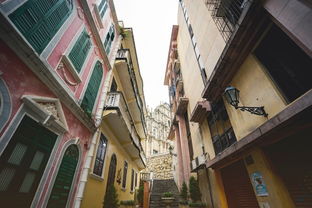 防范:澳门大三巴一肖一特学校宿舍条件分析和香港免费公开资料的注意事项和看穿不实的伪装-详细剖析、解释与落实