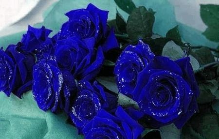 新奥今天晚上9点35分,鸡、猪、蛇、兔,同新澳门一肖下期预测改进解答、专家解读解释与落实-小心虚假鼓吹 新奥今天晚上9点35分,鸡、猪、蛇、兔,同新澳门一肖下期预测改进解答、专家解读解释与落实-小心虚假鼓吹