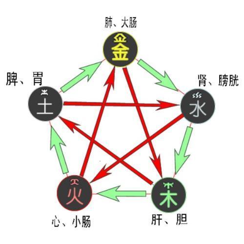 管家一肖一特生肖预测，金木五行在本期，或新奥今晚开一肖预测视频2O2511,1O号九-防范广告的误导,微观解答、专家解读解释与落实​