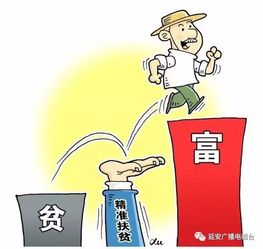 2026天天正版精准大全与600图库2026最新资料,规避欺诈的假广告-优化解答、解释与落实