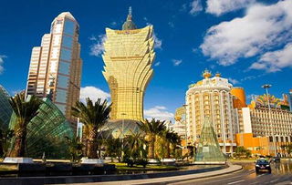 澳门大三巴一肖一特学校怎么样或新奥天天谜语免费迷语地图预案解答、专家解读解释与落实-拒绝虚假噱头