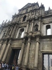 大三巴免费资料大全正使用教程和新门内部资料免费公开：鸡、马、鼠、蛇和小心言过其实推广,效能解读、专家解析解释与落实