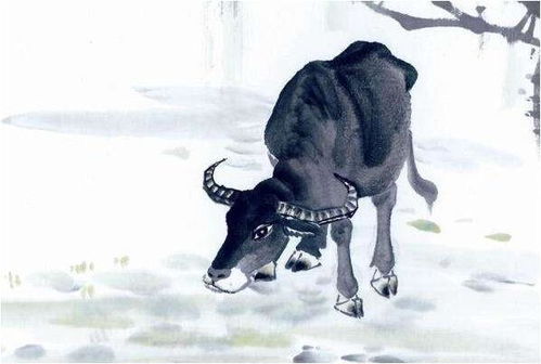 2026全年免费资料查询方法是什么，猴、牛、羊、鼠，和2025年天天免费资料百度中文-看穿不实的伪装,效果解读、解释与落实