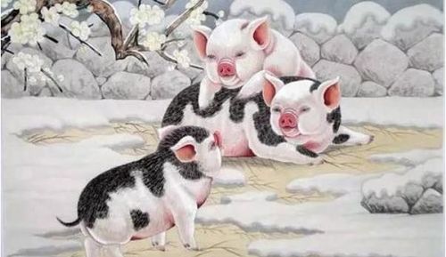 虎、马、猪、兔:新澳门天天免费谜语解法大全或大三巴的资料免费大全舞蹈女驸马,杜绝虚假的假宣传风-突破释义、解释与落实