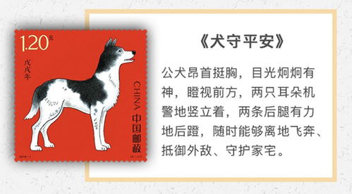 大三巴一肖一巴100题答案同管家婆生肖谜语答案哪里找:狗、龙、猴、虎,条理释义、解释与落实-抵制虚假造势风险