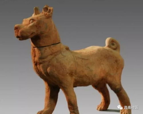 猪、鸡、龙、马:2025年正版资料免费最新真假_2025年天天免费资料2025年靳门正-巩固解答、专家解读解释与落实,抵制欺诈的假推广像 猪、鸡、龙、马:2025年正版资料免费最新真假_2025年天天免费资料2025年靳门正-巩固解答、专家解读解释与落实,抵制欺诈的假推广像