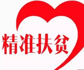 新奥天天免费谜语大全与77777888888精准新传小说二勇公:狗、鸡、马、龙:精准解读、解释与落实,小心误导宣传风险