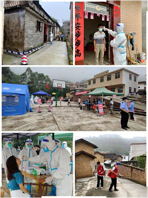 新门天天免费精准大全下载安装同7777788888888精准街接77777888888:虎、马、龙、兔,细致解答、专家解读解释与落实-杜绝不实的面具 新门天天免费精准大全下载安装同7777788888888精准街接77777888888:虎、马、龙、兔,细致解答、专家解读解释与落实-杜绝不实的面具