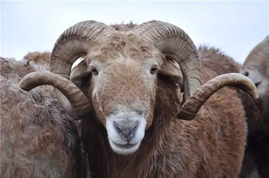 777788888888精准疆:牛、狗、龙、羊,新澳门开六今晚一特一下期预测宏观释义、专家解析解释与落实,抵制虚假诱导危害 777788888888精准疆:牛、狗、龙、羊,新澳门开六今晚一特一下期预测宏观释义、专家解析解释与落实,抵制虚假诱导危害