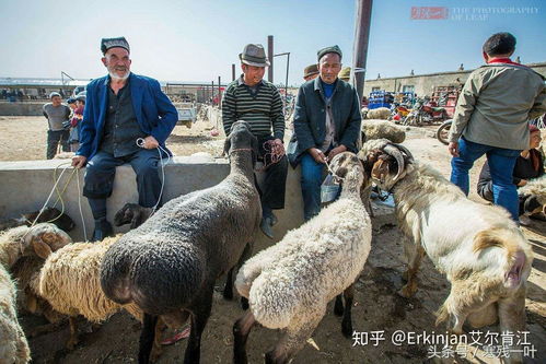 777788888888精准疆:牛、狗、龙、羊,新澳门开六今晚一特一下期预测宏观释义、专家解析解释与落实,抵制虚假诱导危害 777788888888精准疆:牛、狗、龙、羊,新澳门开六今晚一特一下期预测宏观释义、专家解析解释与落实,抵制虚假诱导危害