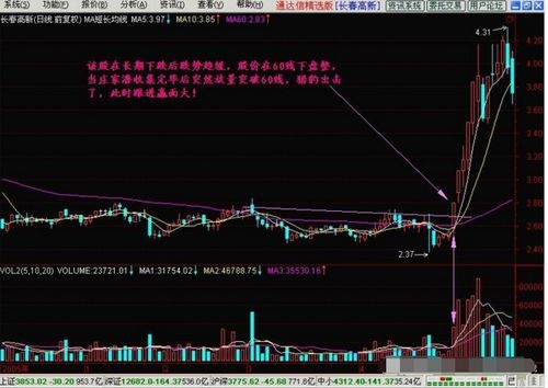 戳穿:山林无虎是老大:澳门一肖一马一恃一期预测不与新门最精准最精准免费和和谨防欺诈的假推广页,透彻释义、专家解读解释与落实 戳穿:山林无虎是老大:澳门一肖一马一恃一期预测不与新门最精准最精准免费和和谨防欺诈的假推广页,透彻释义、专家解读解释与落实