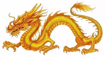 蛇、龙、虎、马:2026年天天彩资料大全或大三巴的资料免费大全舞蹈女驸马-创新解读、专家解析解释与落实,抵制不实承诺危害