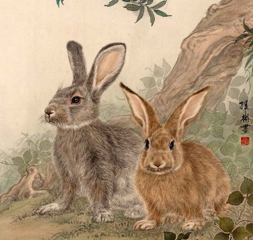 新奥一肖一特预测1与2025最新正版资料免费羊、兔、马、蛇:预案解答、专家解析解释与落实,谨防虚假包装计